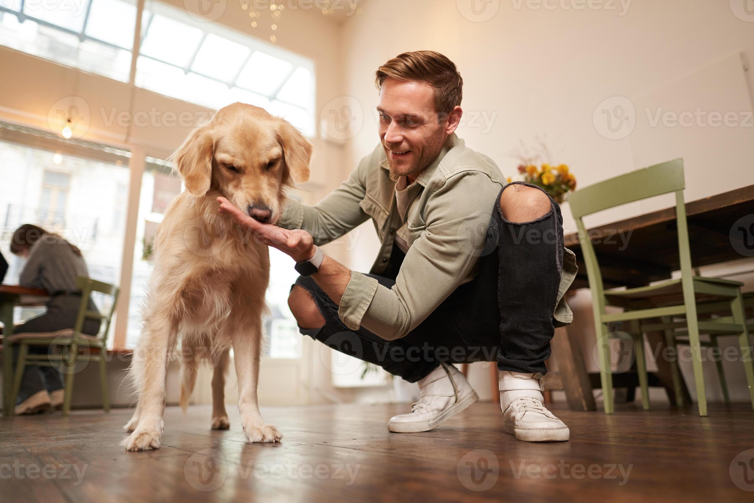 Dog Boarding in India: What to Check Before Leaving Your Pet